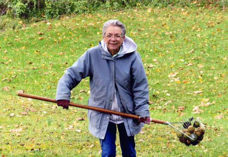 Clintondale woman gathers black walnuts News, Sports, Jobs The Express